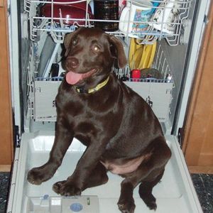 Meet your Posher, Becky